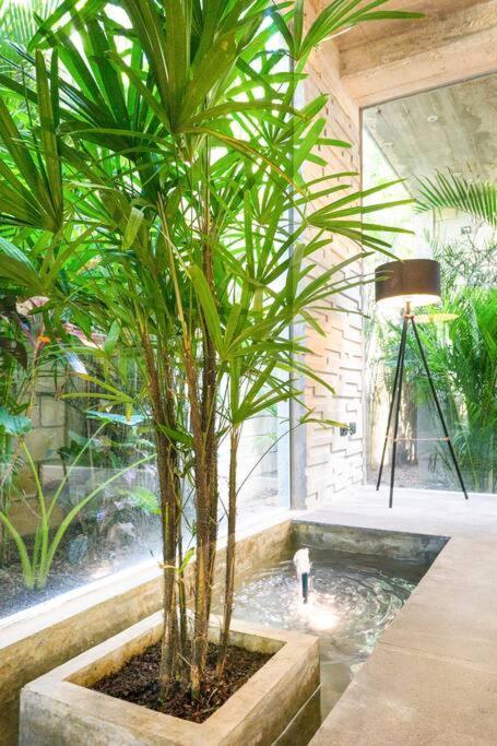 Villa Nimi: Architectural Gem with Private Pool & Concierge Tulum Exterior photo
